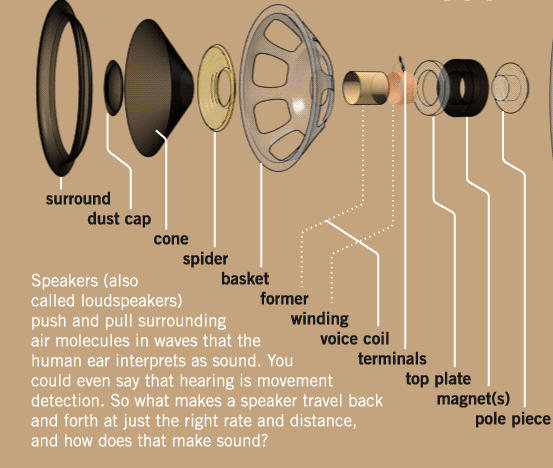 How speakers make sound and other cool animated graphics ... speaker parts diagram 